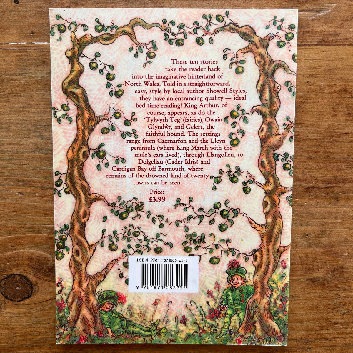 Welsh Tales For Children - Showell Styles - 2018 (Preloved)