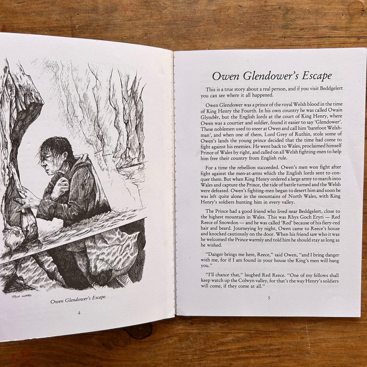 Welsh Tales For Children - Showell Styles - 2018 (Preloved)