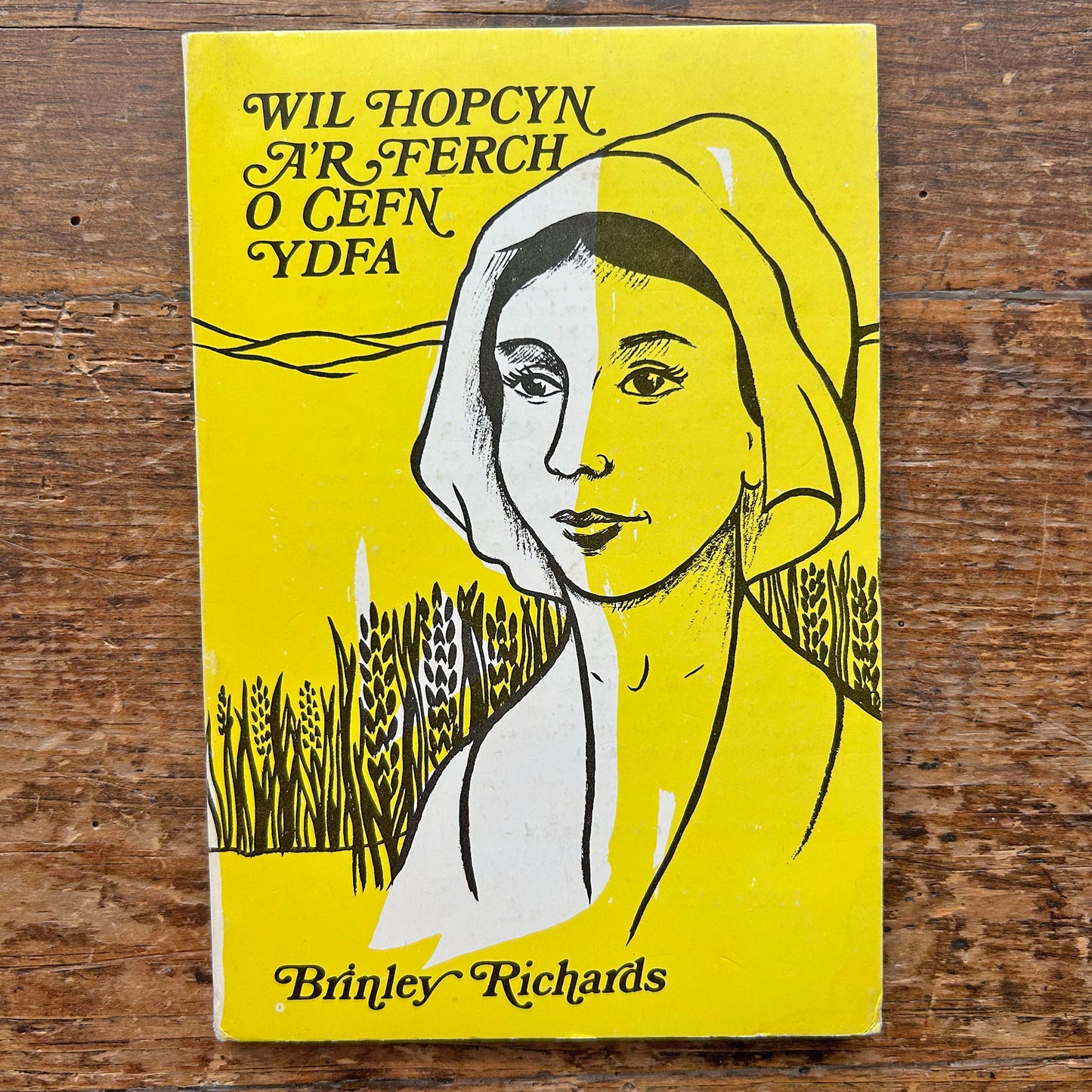 Wil Hopcyn a'r Ferch o Cefn Ydfa - Brinley Richards (Preloved)