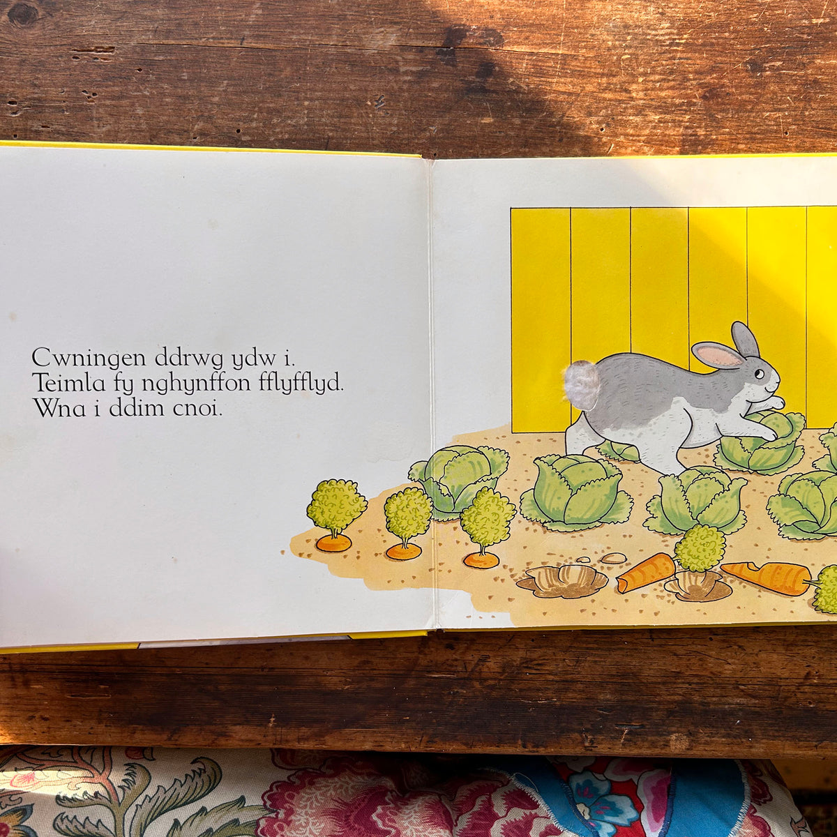 Wna i Ddim Cnoi - Cyffwrdd a Theimlo - Rod Campbell (Preloved)