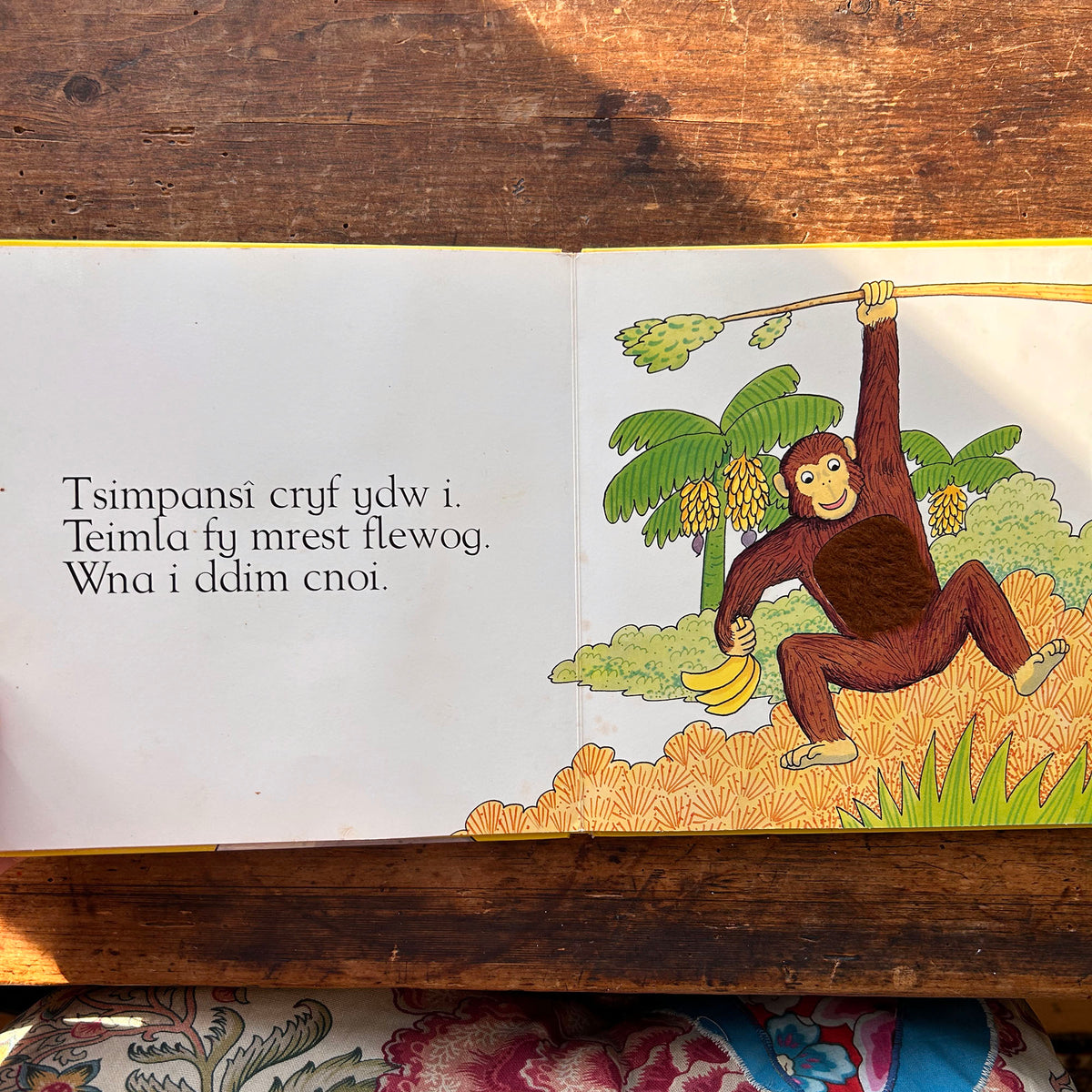 Wna i Ddim Cnoi - Cyffwrdd a Theimlo - Rod Campbell (Preloved)