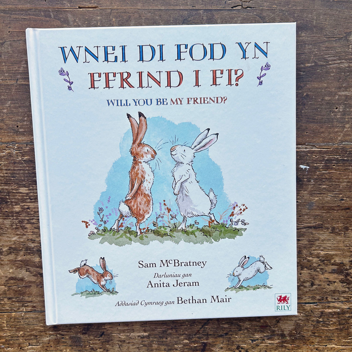 Wnei Di Fod Yn Ffrind I Fi? - Sam McBratney / Bethan Mair (Preloved)