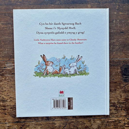 Wnei Di Fod Yn Ffrind I Fi? - Sam McBratney / Bethan Mair (Preloved)