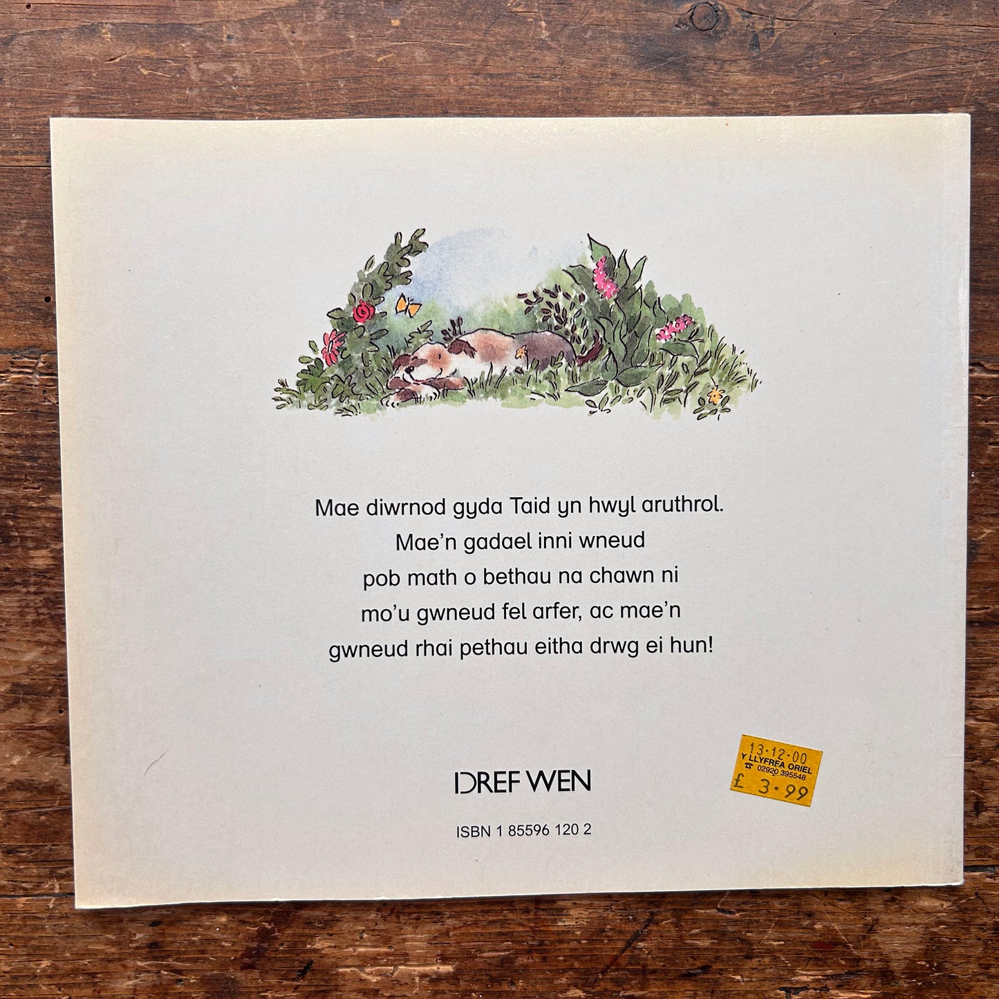 Wyddost Ti Beth Wnaeth Taid? Brian Smith - 1991 (Preloved)