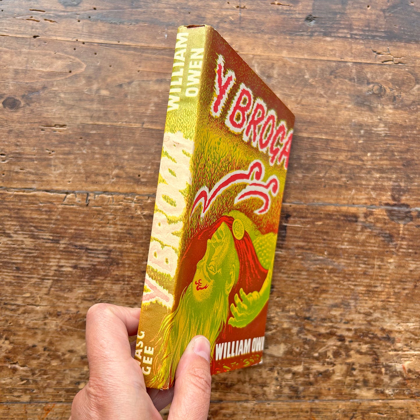 Y Broga - William Owen 1959 (Preloved)