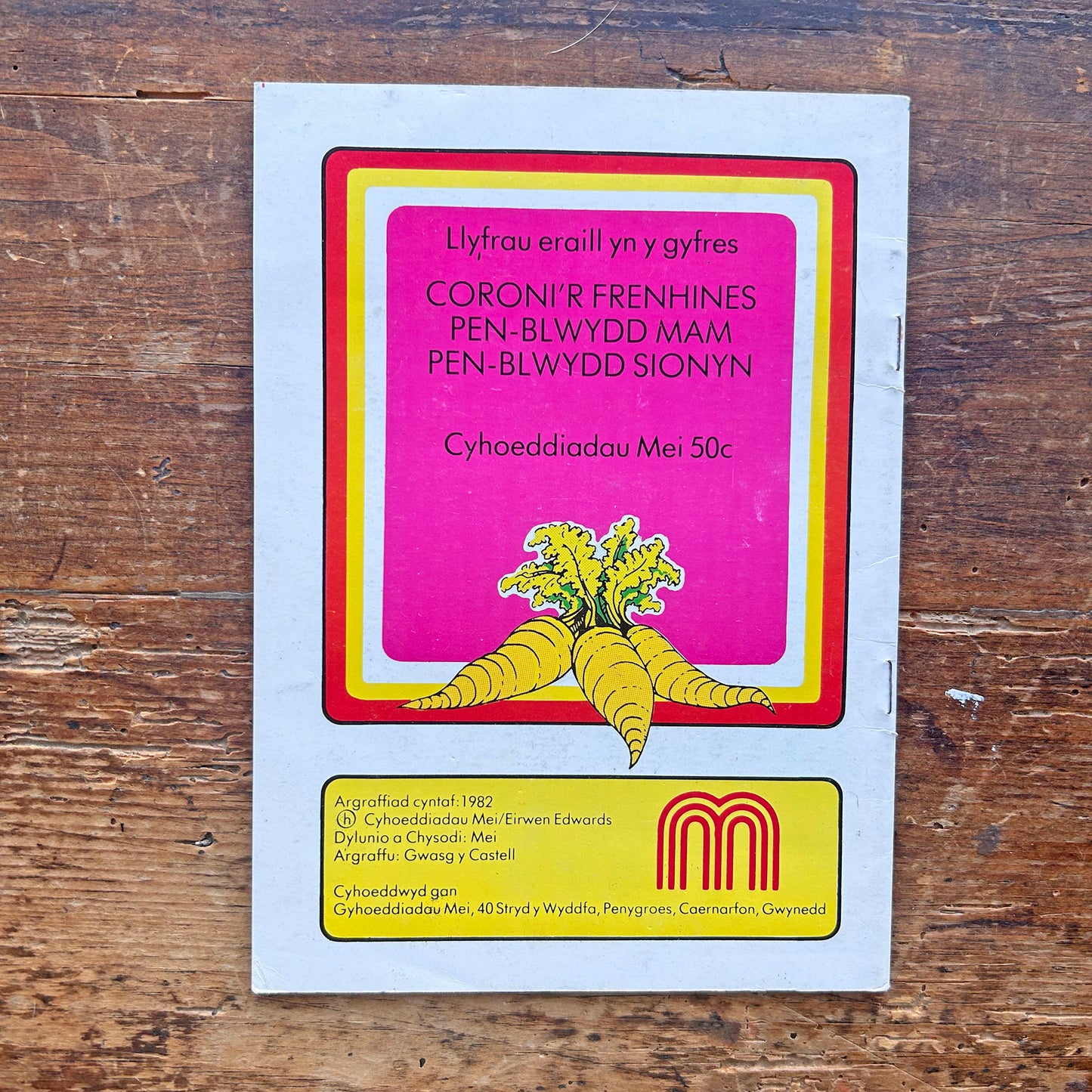 Y Bwgan Brain - Cyfres Sionyn - 1982 (Preloved)