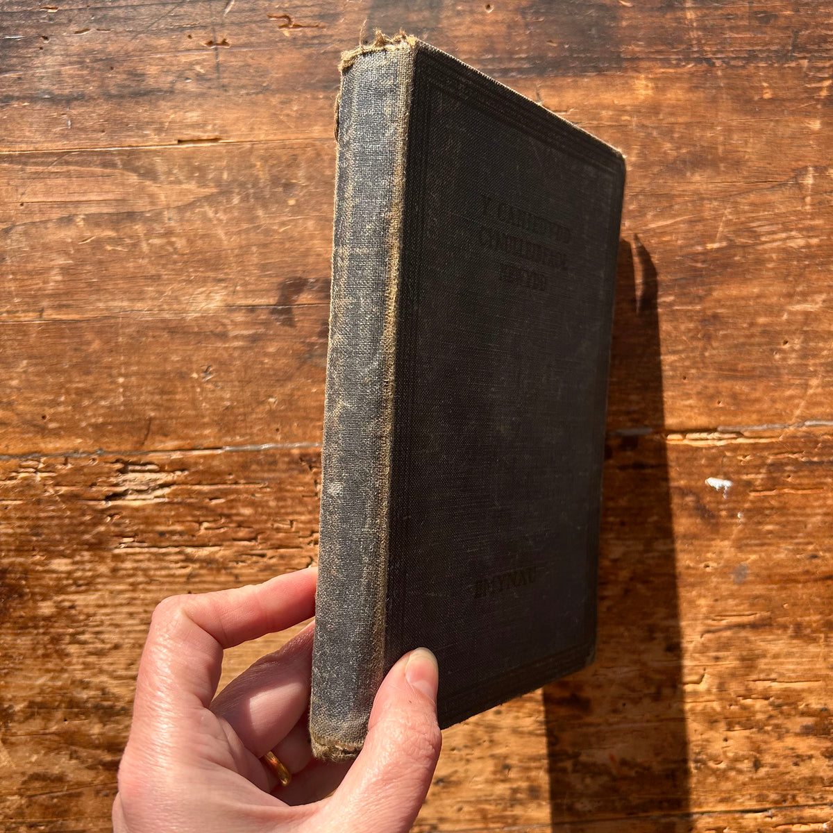 Y Caniedydd Cynulleidfaol - Emynau - 1953 (Preloved)
