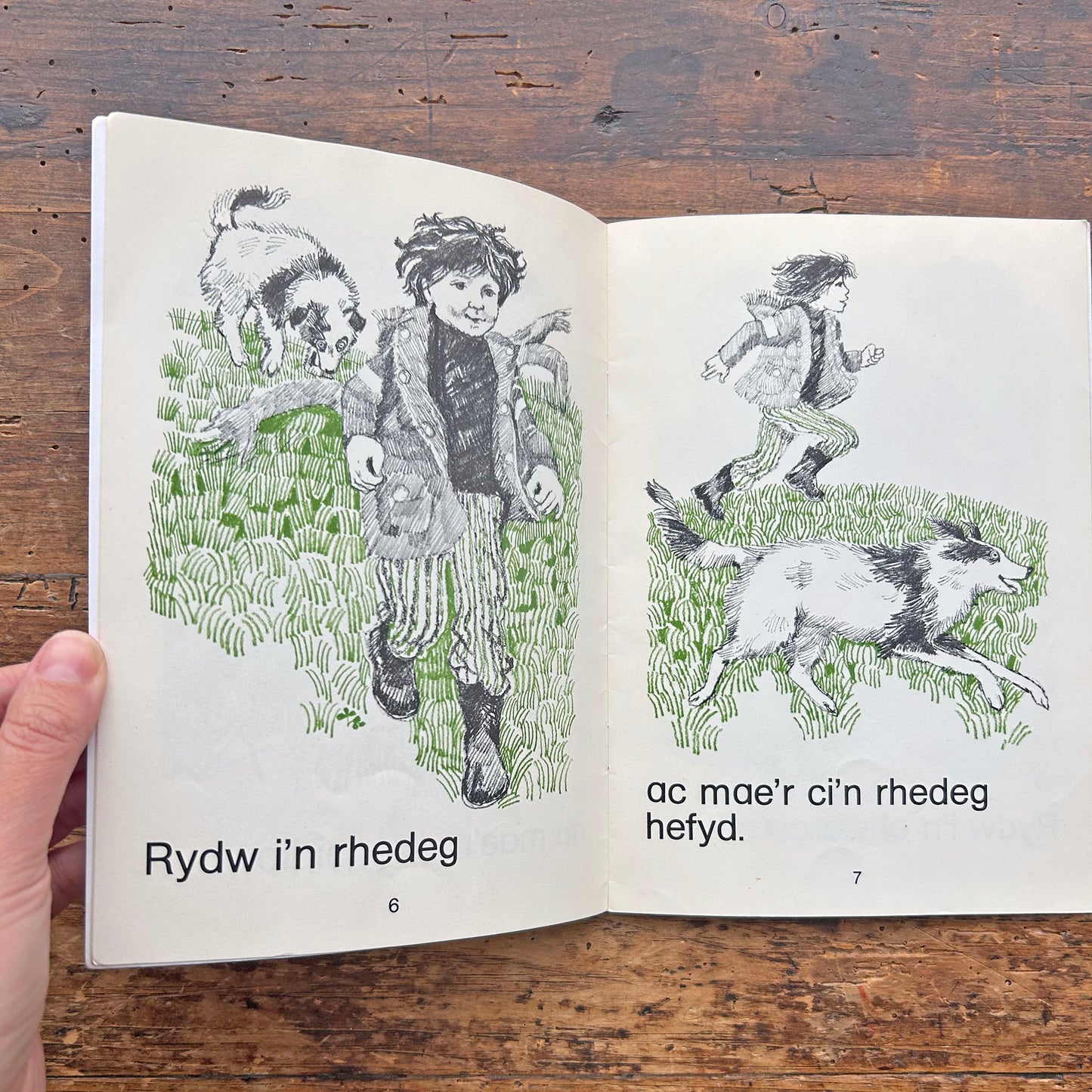 Y Ci - Cyfres y Ddraig - Vintage Welsh Books 1978 (Preloved)