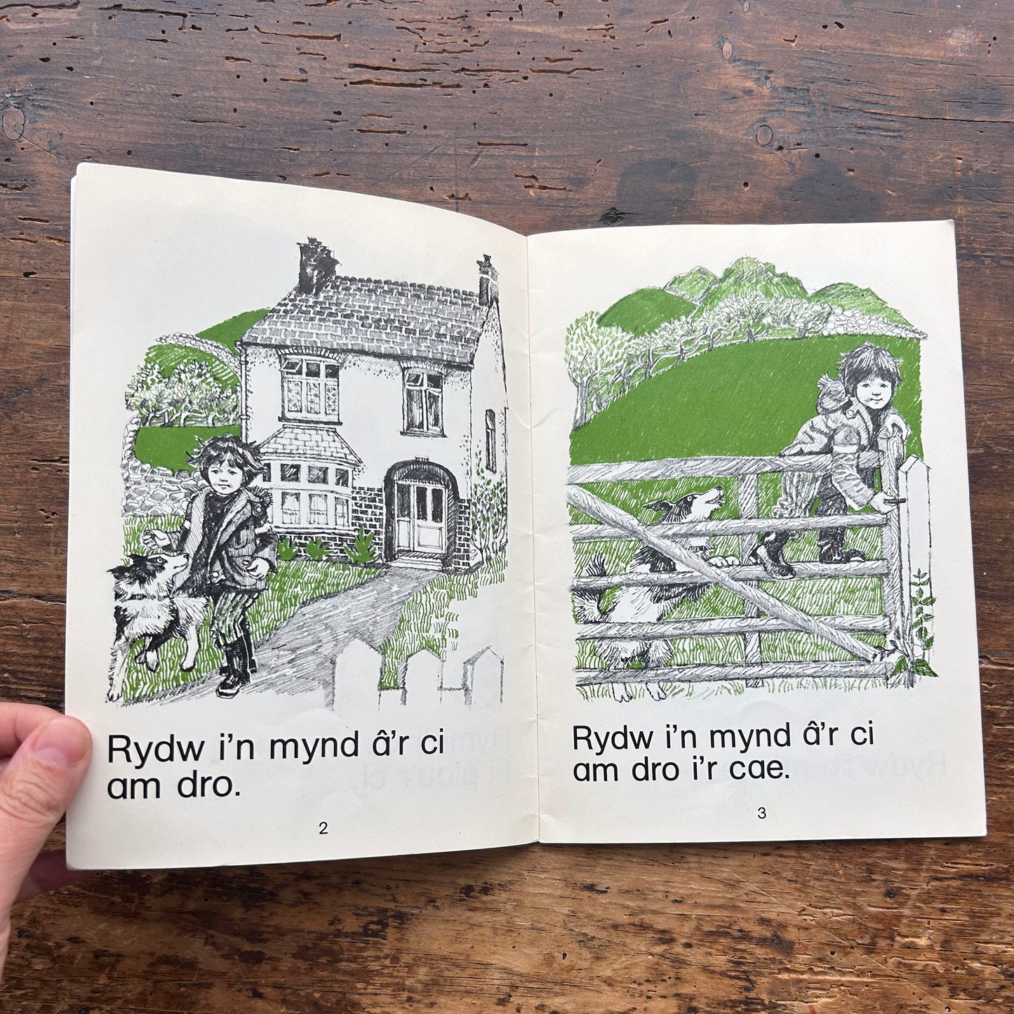 Y Ci - Cyfres y Ddraig - Vintage Welsh Books 1978 (Preloved)
