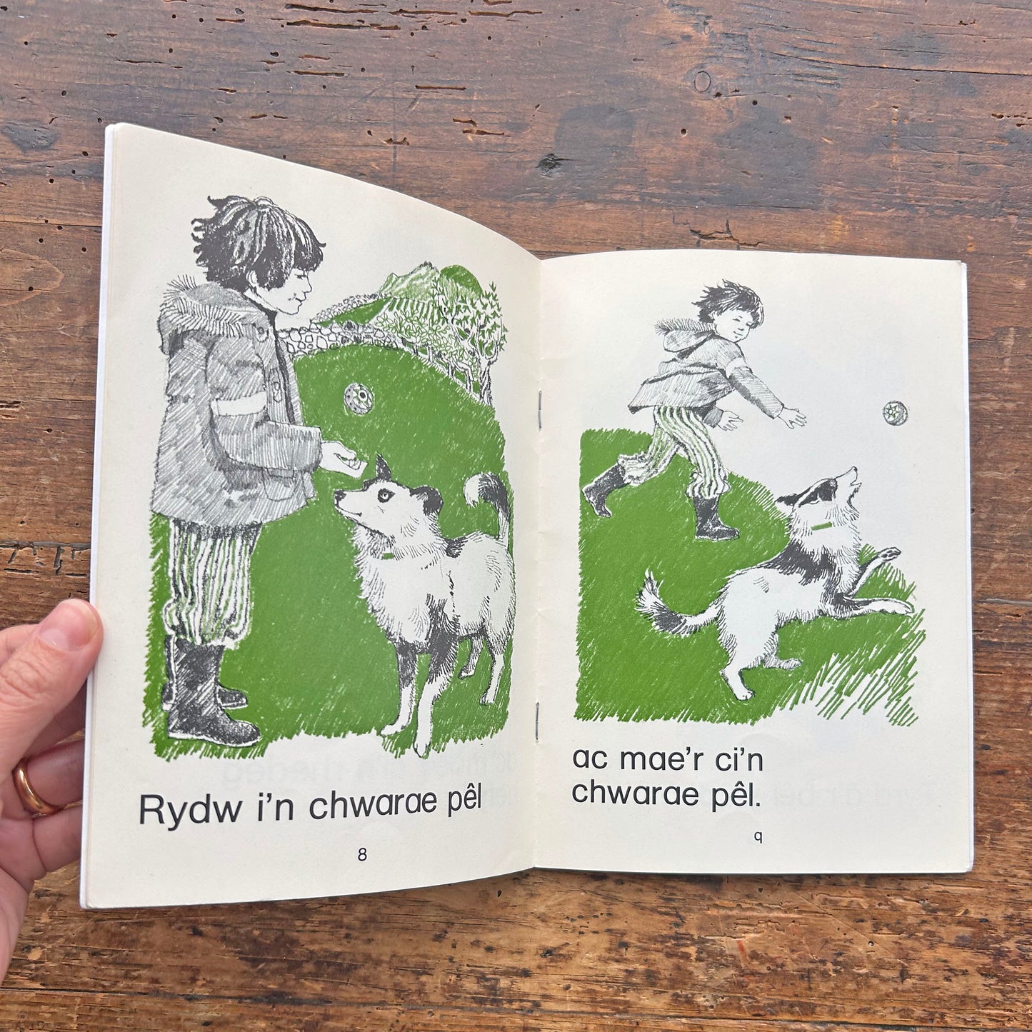 Y Ci - Cyfres y Ddraig - Vintage Welsh Books 1978 (Preloved)