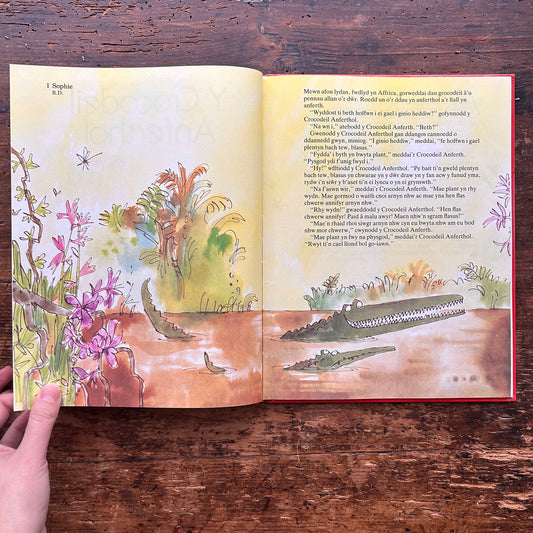 Y Crocodeil Anferthol - Roald Dahl 1989 (Preloved)