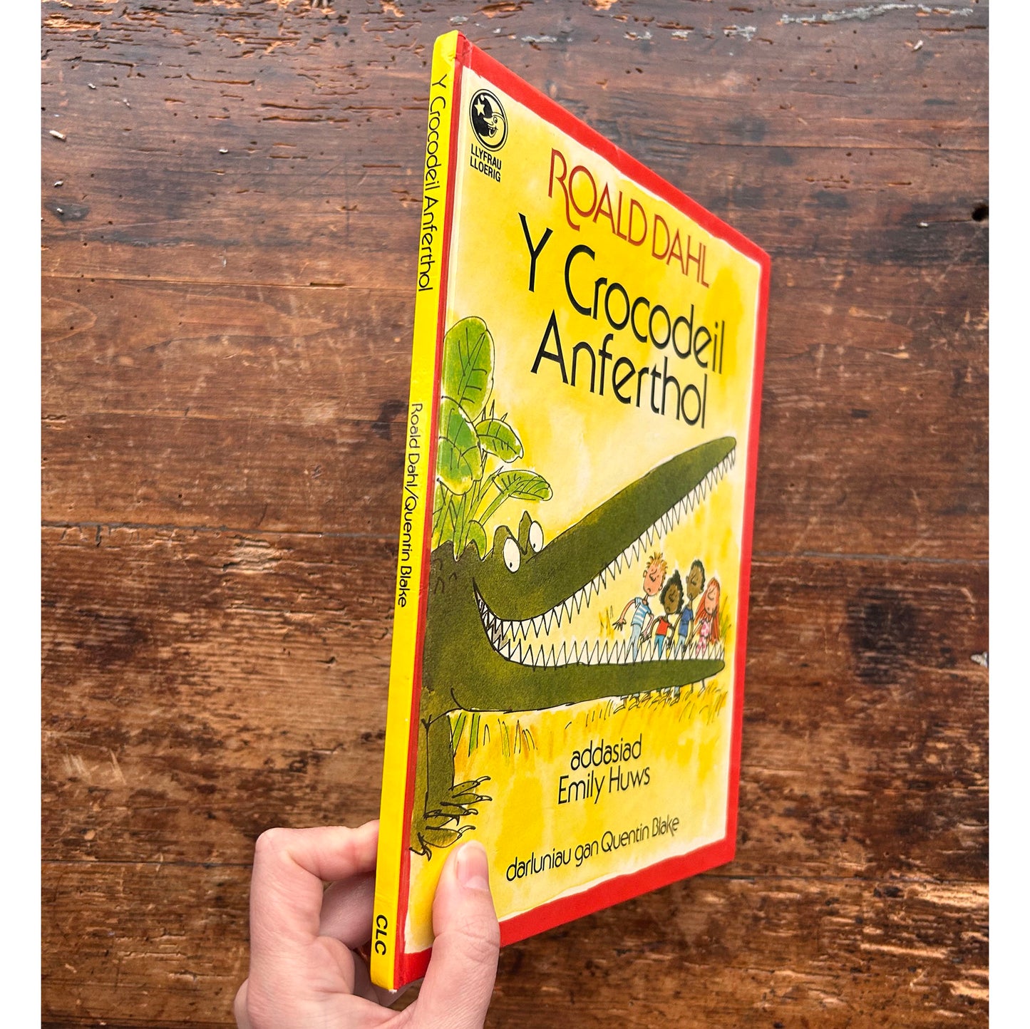 Y Crocodeil Anferthol - Roald Dahl 1989 (Preloved)