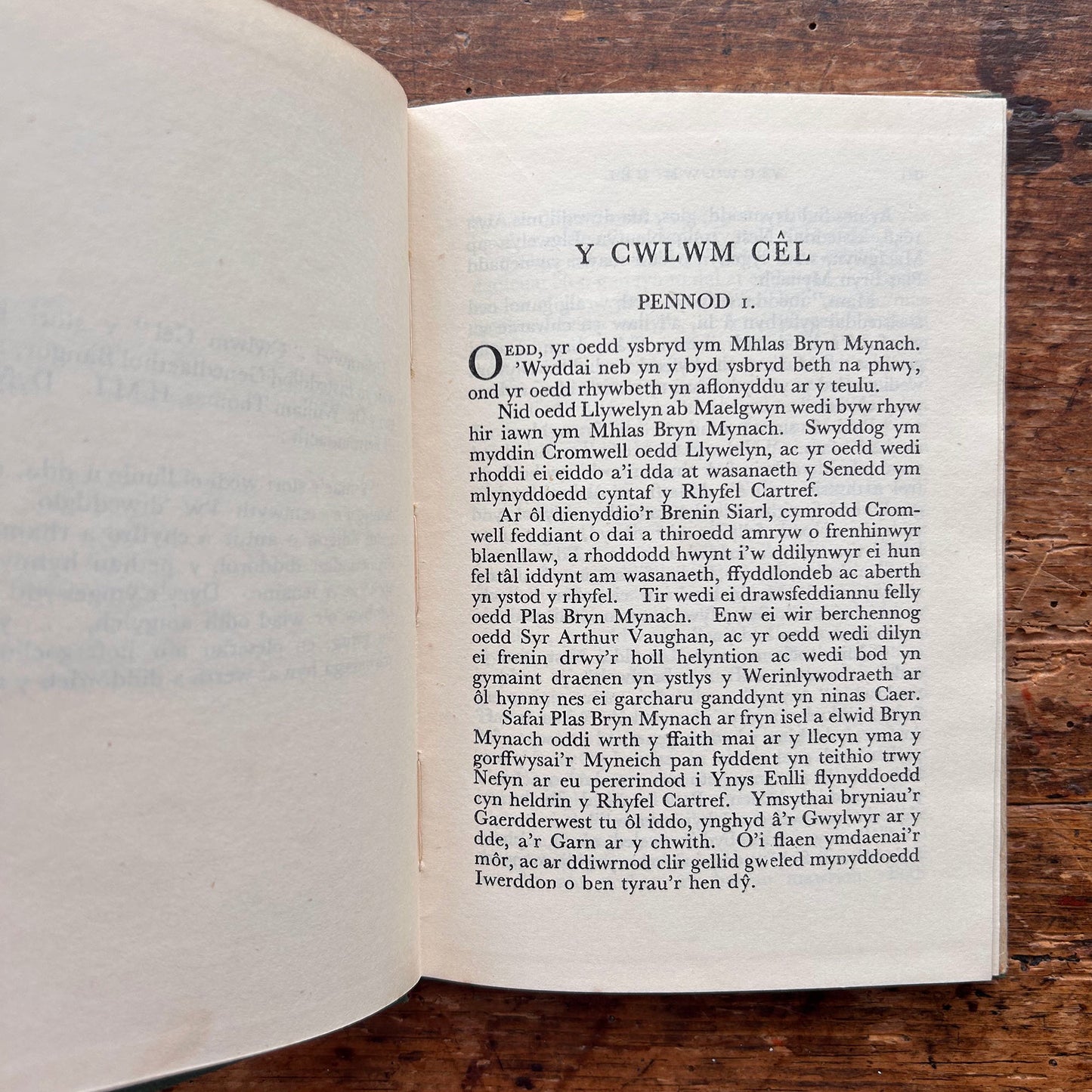 Y Cwlwm Cêl - Elizabeth Watkin-Jones - 1954 (Preloved)