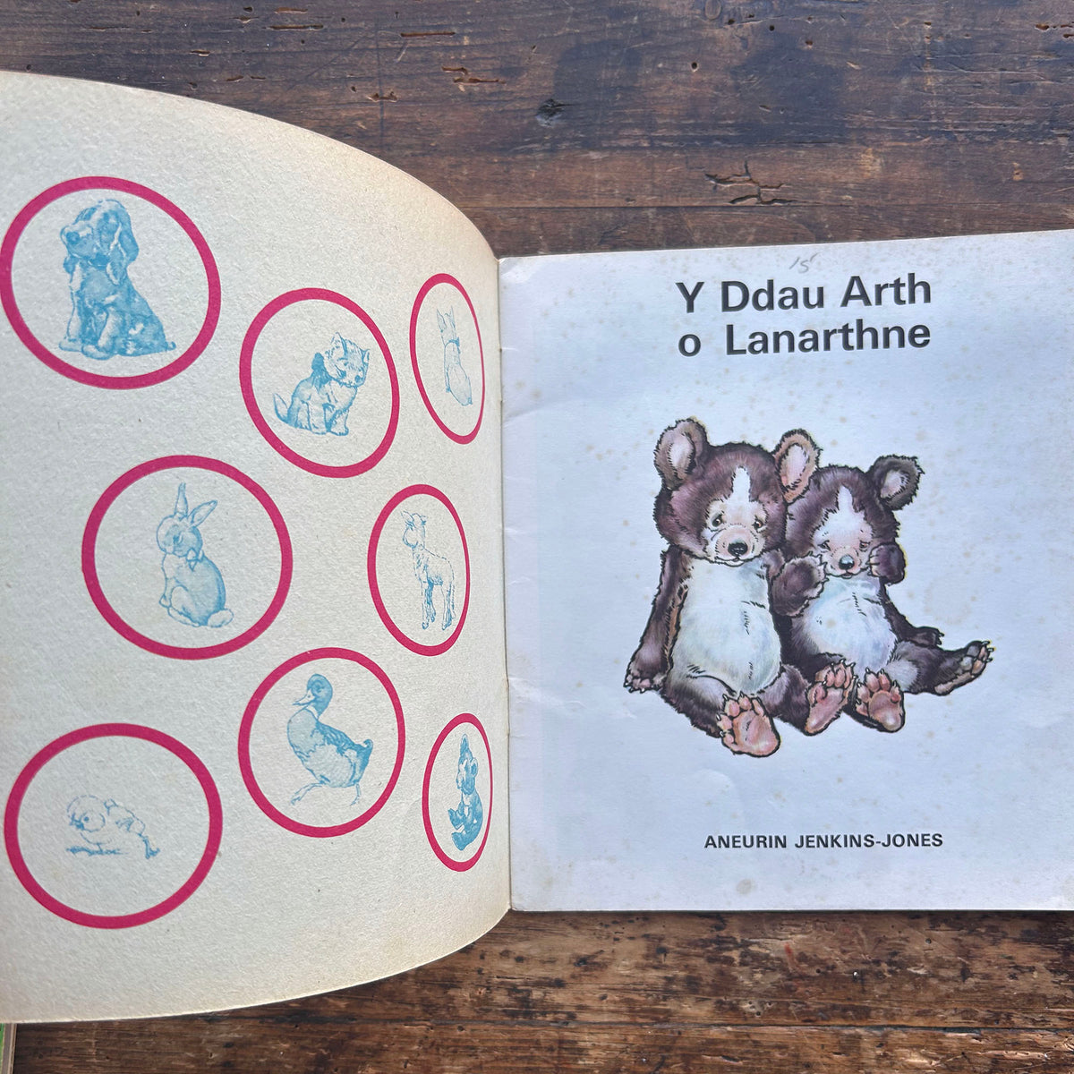 Y Ddau Arth o Lanarthne - Cyfres y Frân Wen - 19 (Preloved)