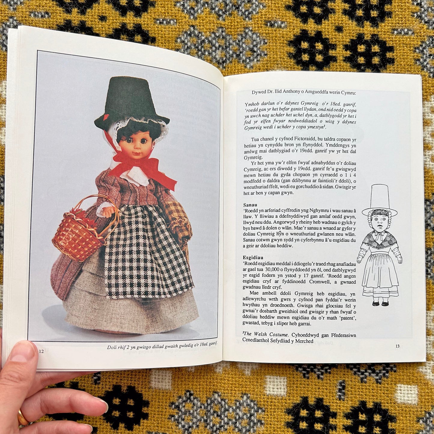 Y Ddoli Gymreig - Welsh Lady Dolls - Vintage 1990 (Preloved)
