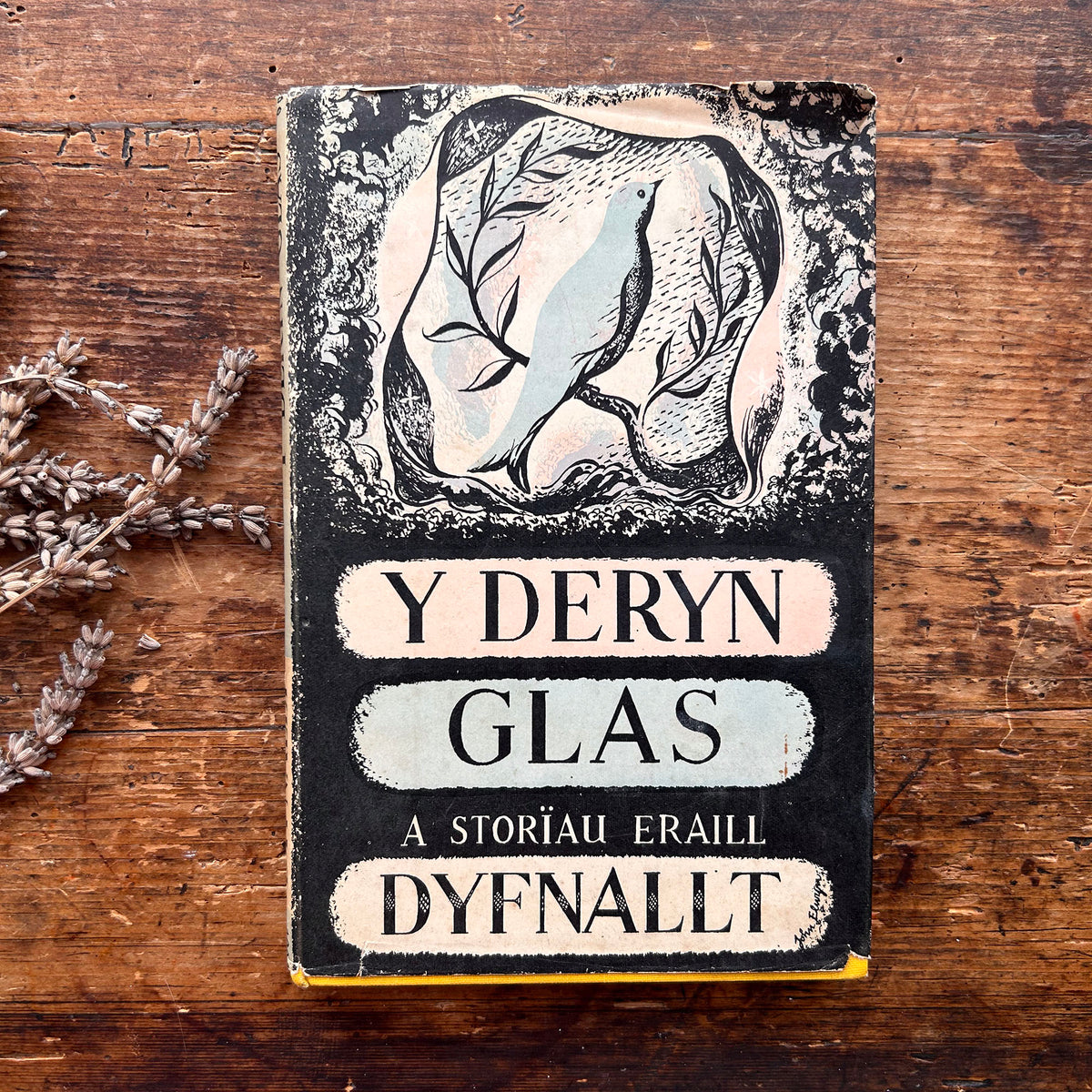 Y Deryn Glas - A Storiau Eraill - Dyfnallt (Preloved)