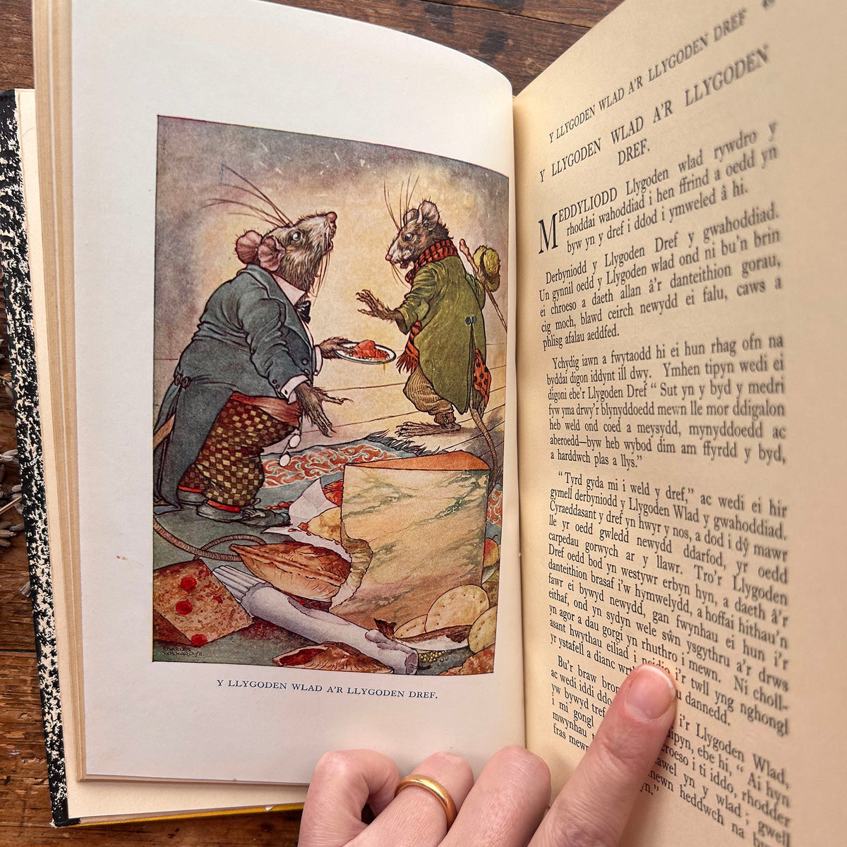 Y Deryn Glas - A Storiau Eraill - Dyfnallt (Preloved)