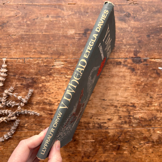 Y Dyhead - E. Tegla Davies - 1968 (Preloved)