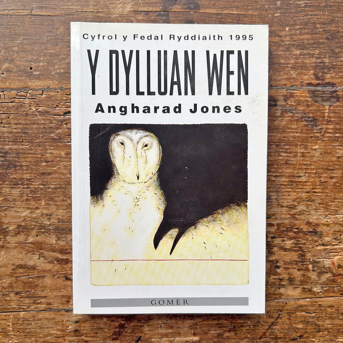 Y Dylluan Wen - Angharad Jones - 1st ed. (preloved)