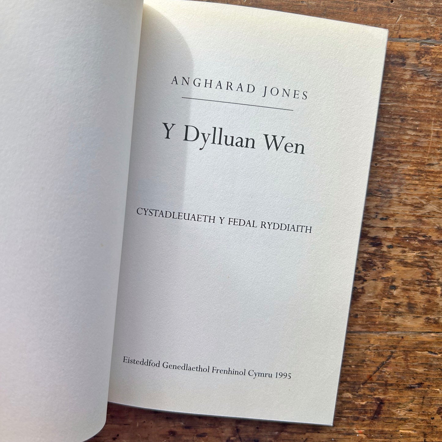 Y Dylluan Wen - Angharad Jones - 1st ed. (preloved)