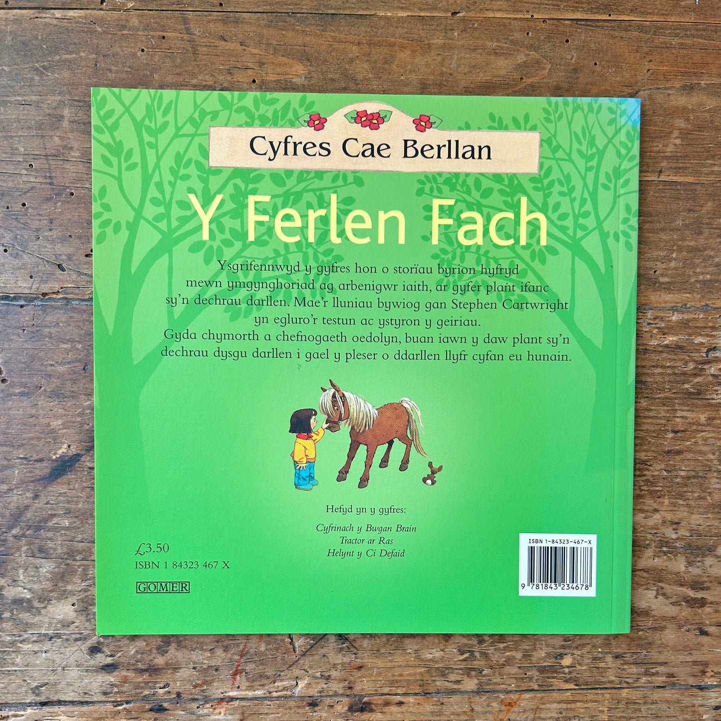 Y Ferlen Fach / The New Pony (Preloved)