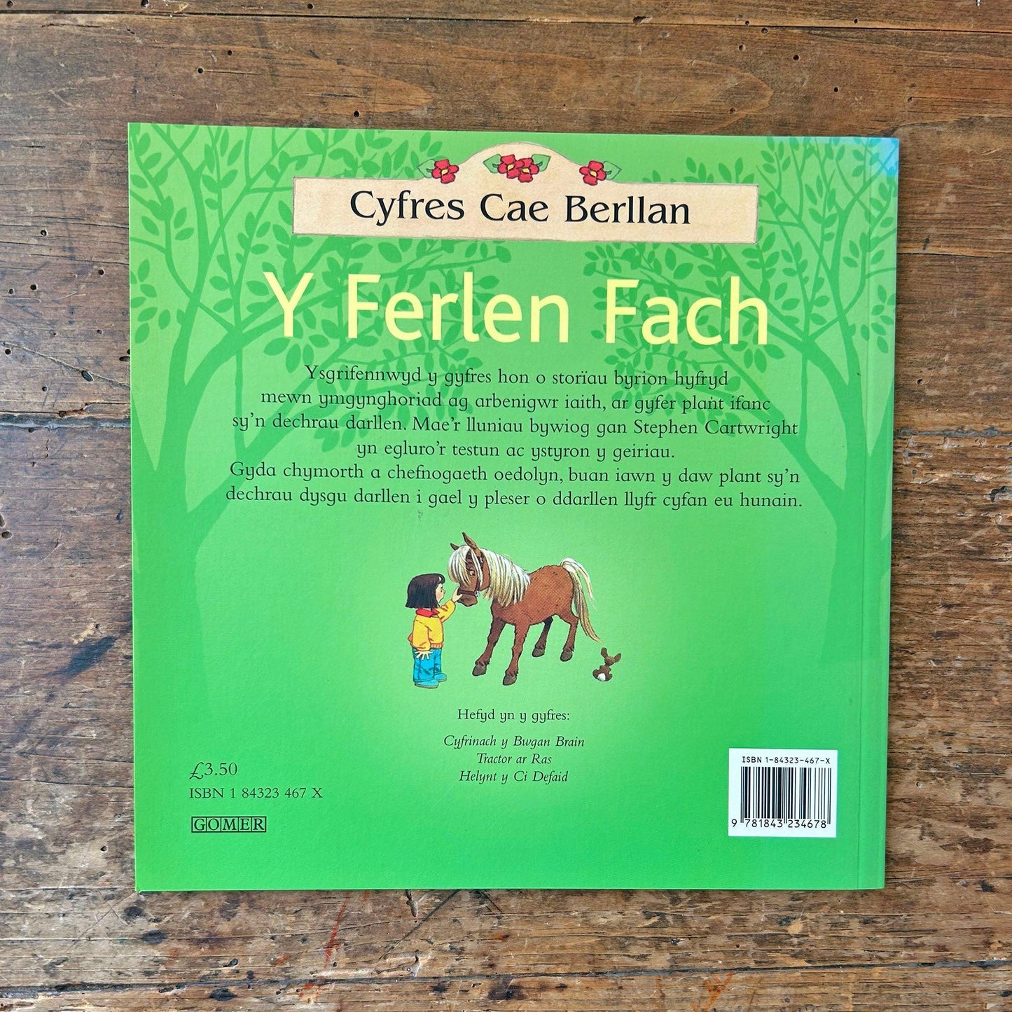 Y Ferlen Fach / The New Pony (Preloved)