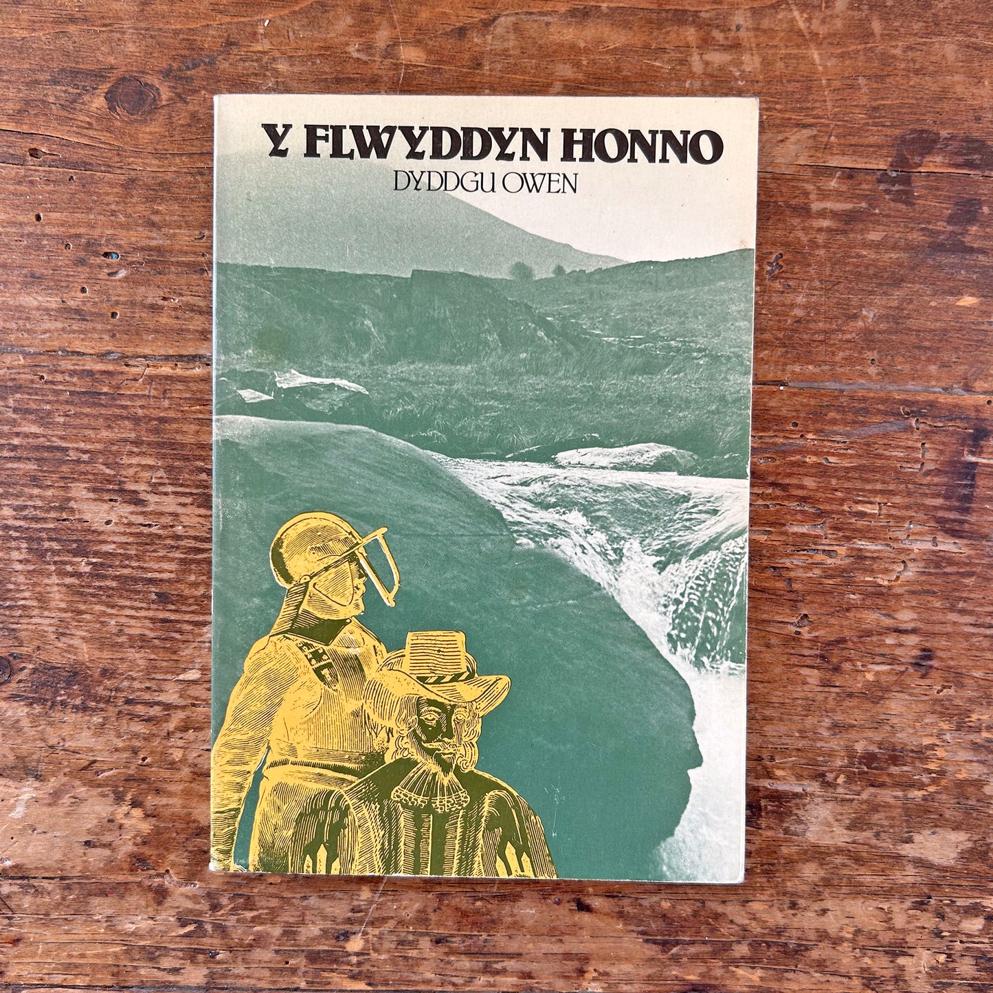 Y Flwyddyn Honno - Dyddgu Owen (Preloved)
