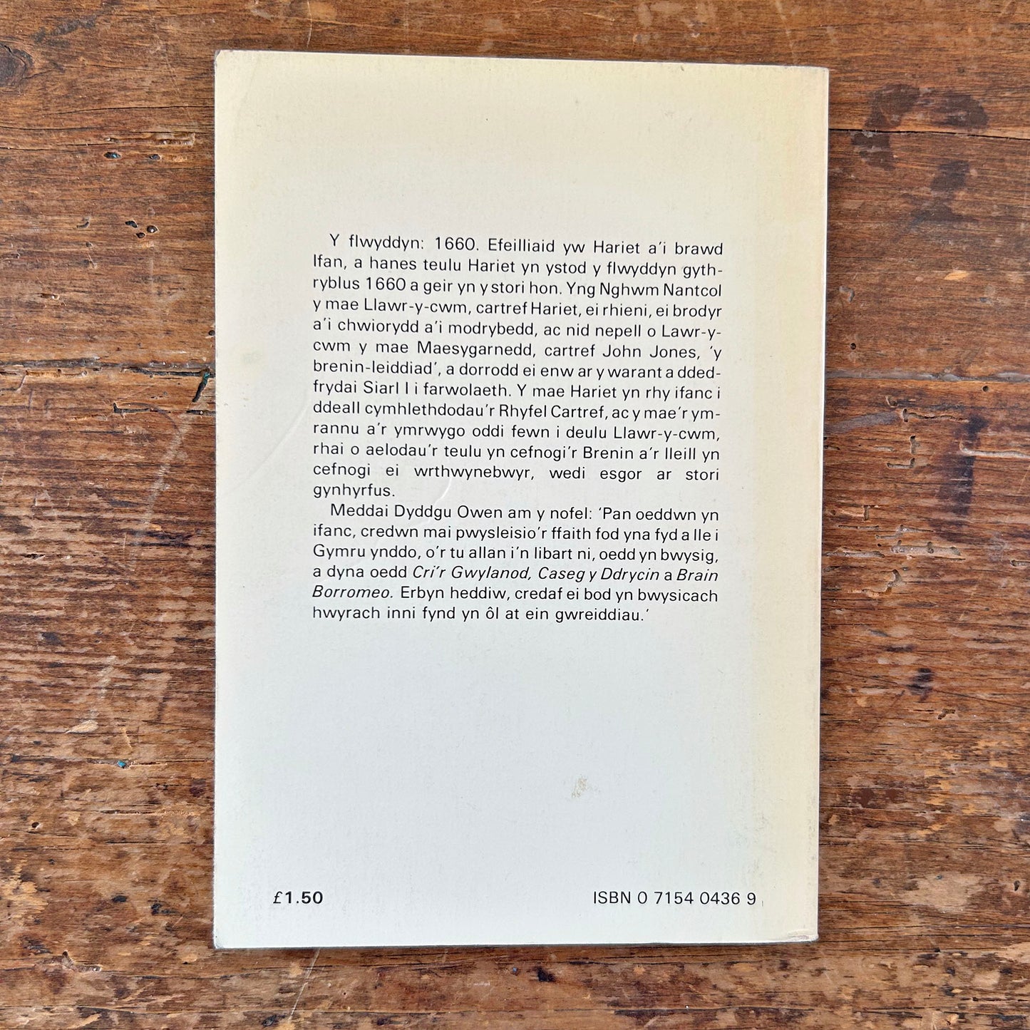 Y Flwyddyn Honno - Dyddgu Owen (Preloved)