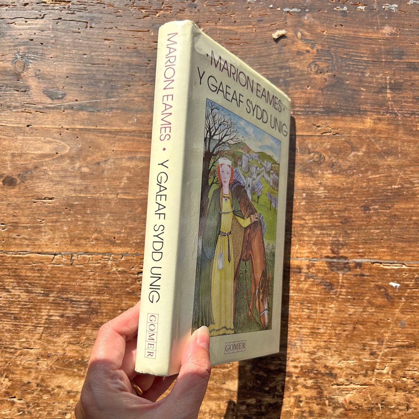 Y Gaef Sydd Unig - Marion Eames 1982 (Preloved)