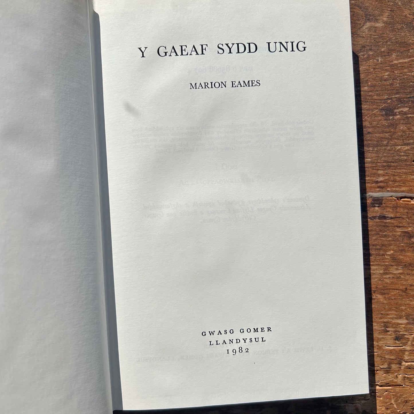 Y Gaef Sydd Unig - Marion Eames 1982 (Preloved)