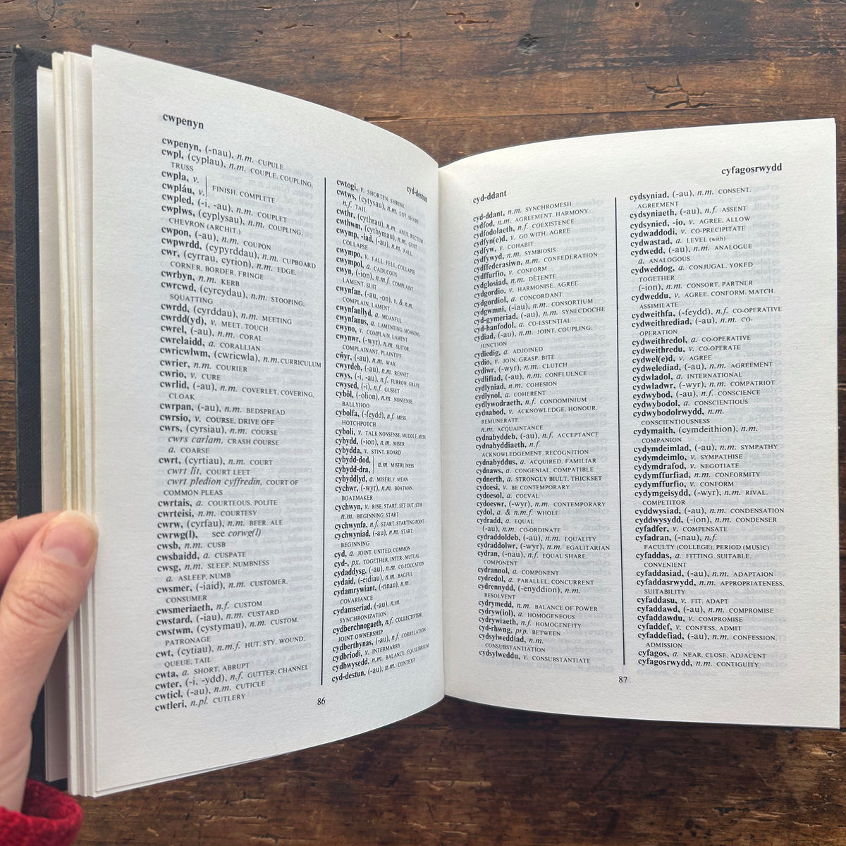 Y Geiriadur Cymraeg Cyfies - The Dictionary of Modern Welsh (Preloved)