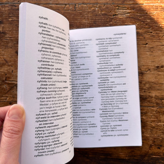 Y Geiriau Lletchwith - A Check-List of Irregular Word Forms and Spelling 2000 (Preloved)