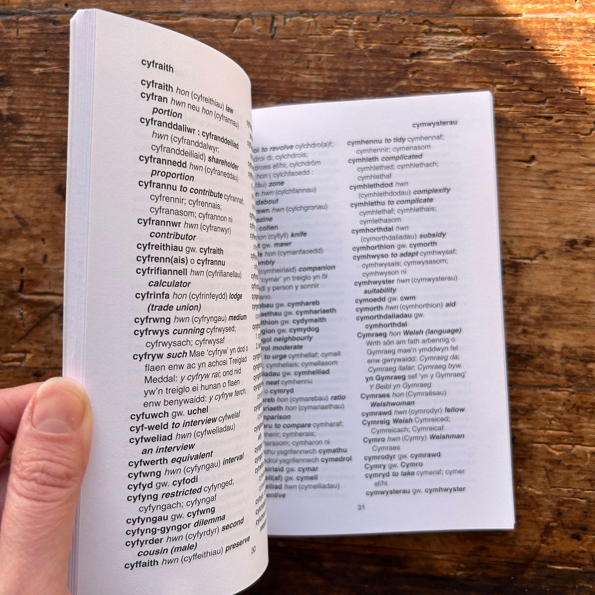 Y Geiriau Lletchwith - A Check-List of Irregular Word Forms and Spelling 2000 (Preloved)