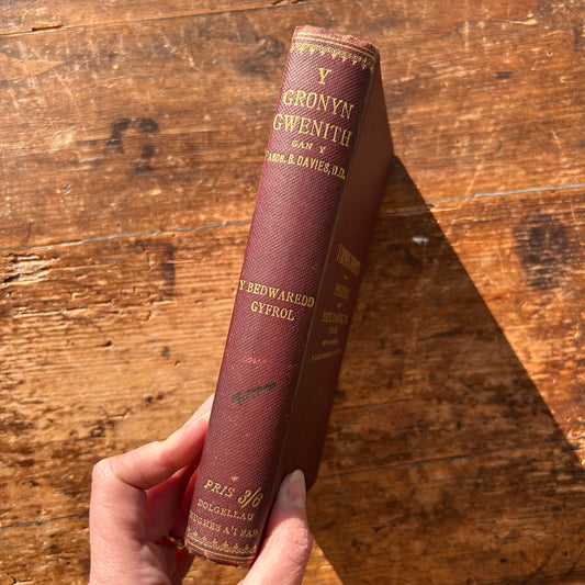 Y Gronyn Gwenith - Pregethau - B. Davies - 1903 1st edition (Preloved)