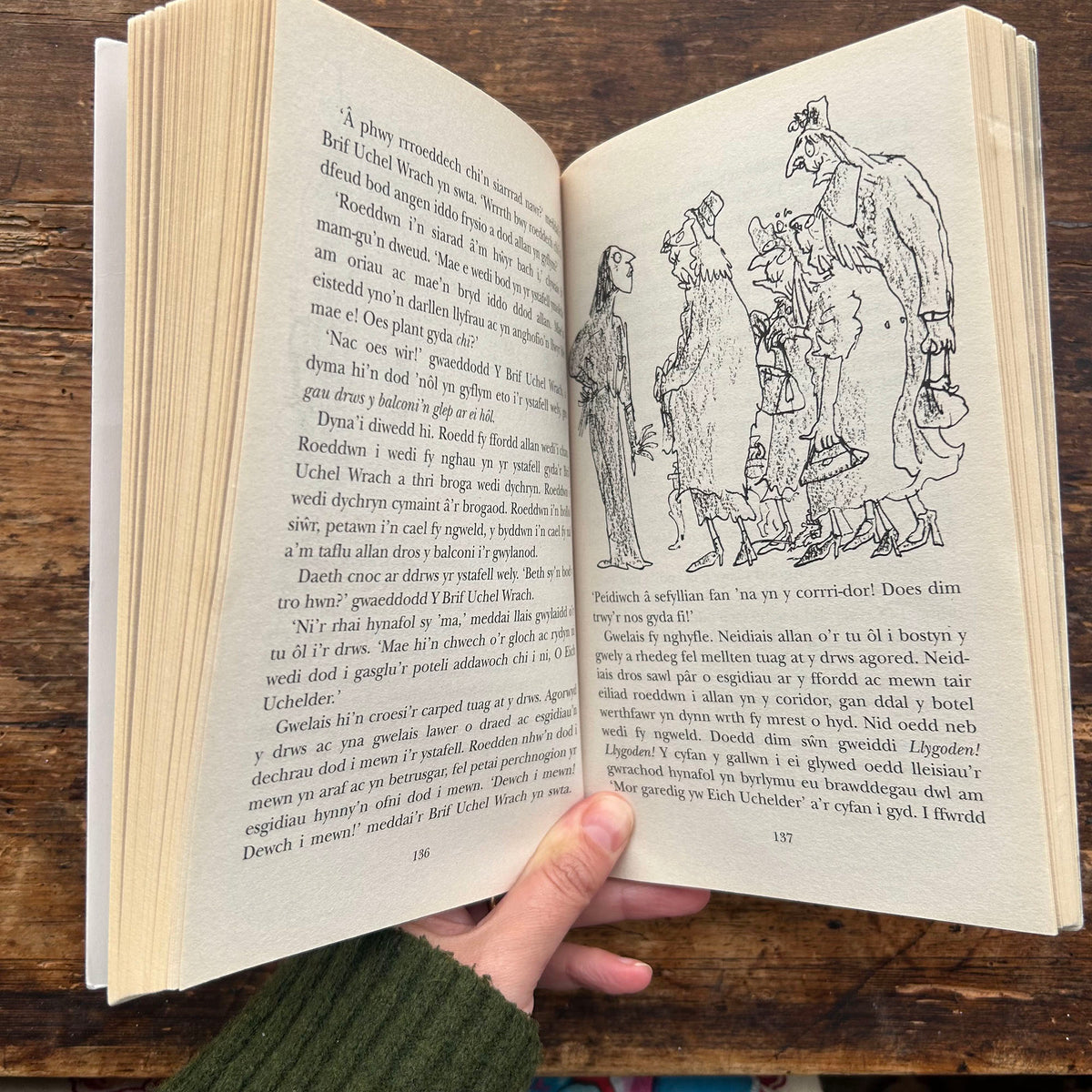 Y Gwrachod / The Witches - Roald Dahl (Preloved)