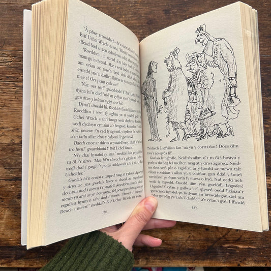 Y Gwrachod / The Witches - Roald Dahl (Preloved)