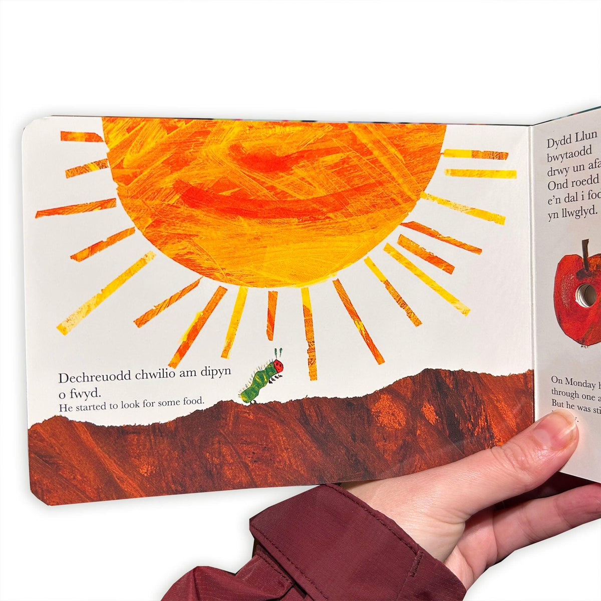 Y Lindysyn Llwglyd Iawn - The Very Hungry Caterpillar - Welsh