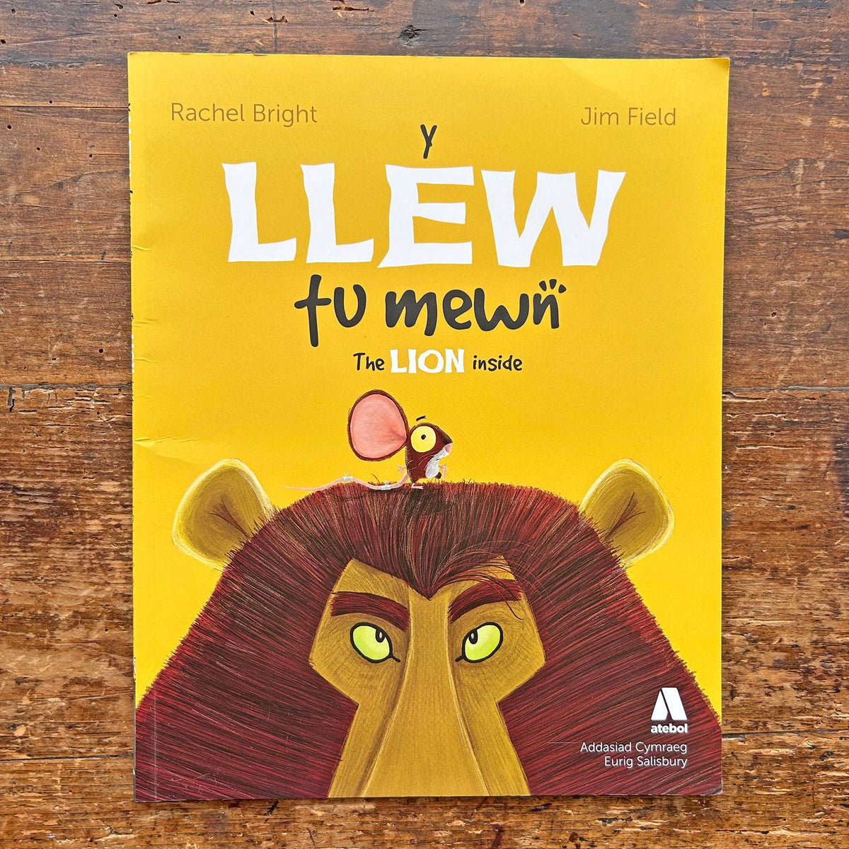 Y Llew Tu Mewn / The Lion Inside (Preloved)