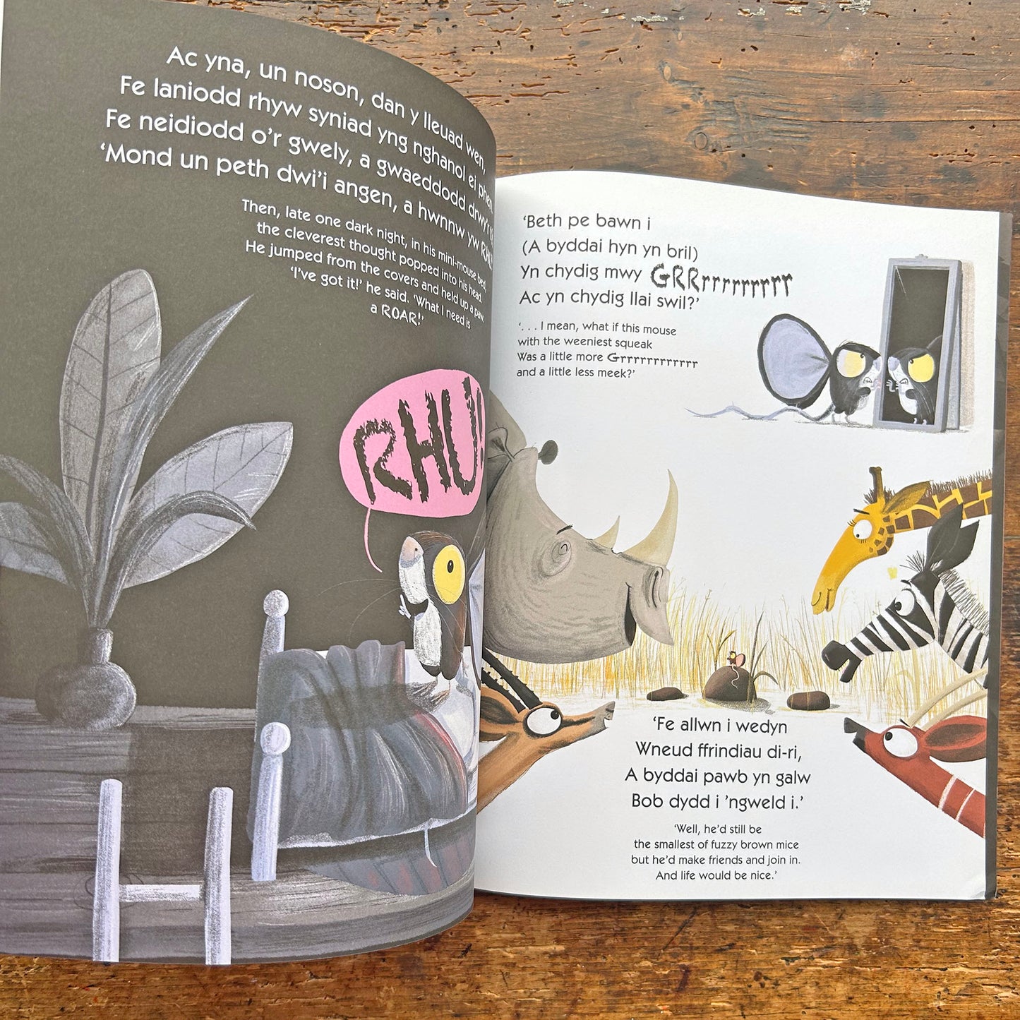 Y Llew Tu Mewn / The Lion Inside (Preloved)