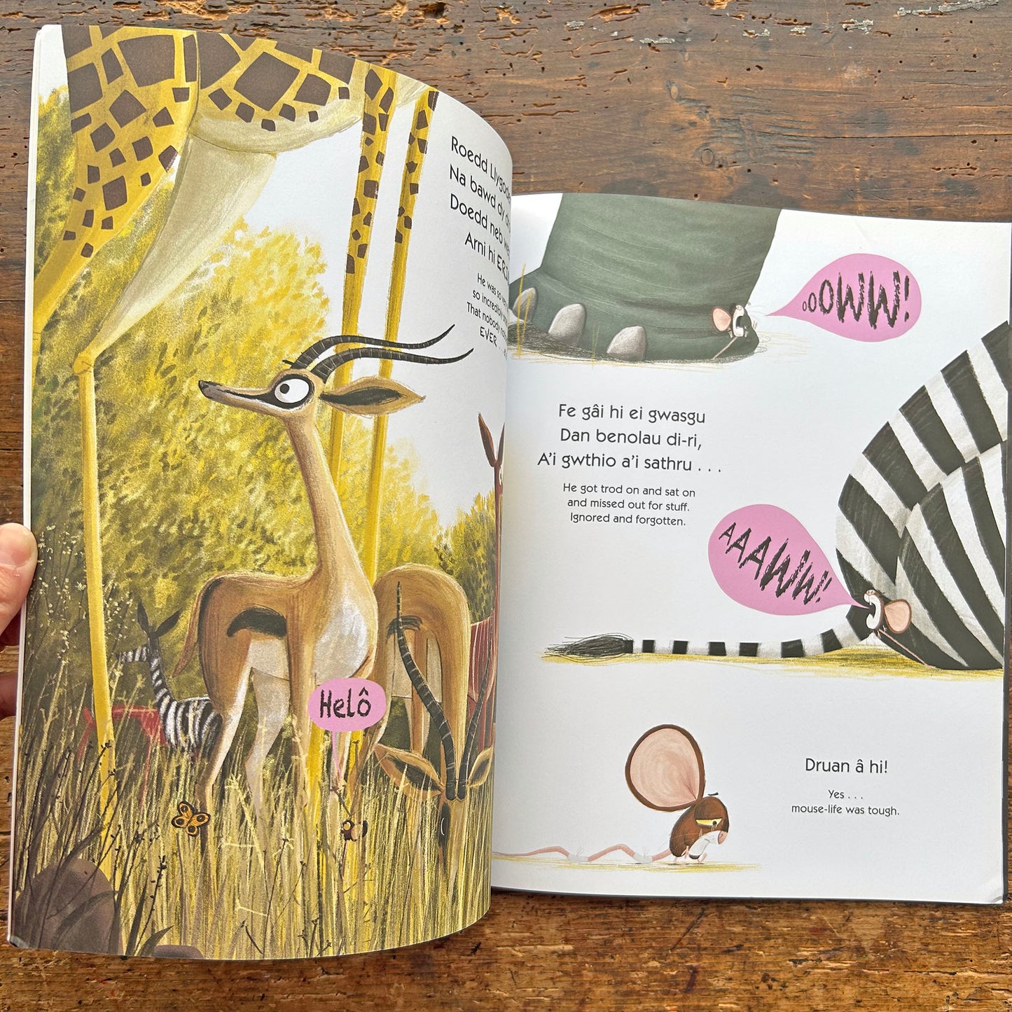 Y Llew Tu Mewn / The Lion Inside (Preloved)