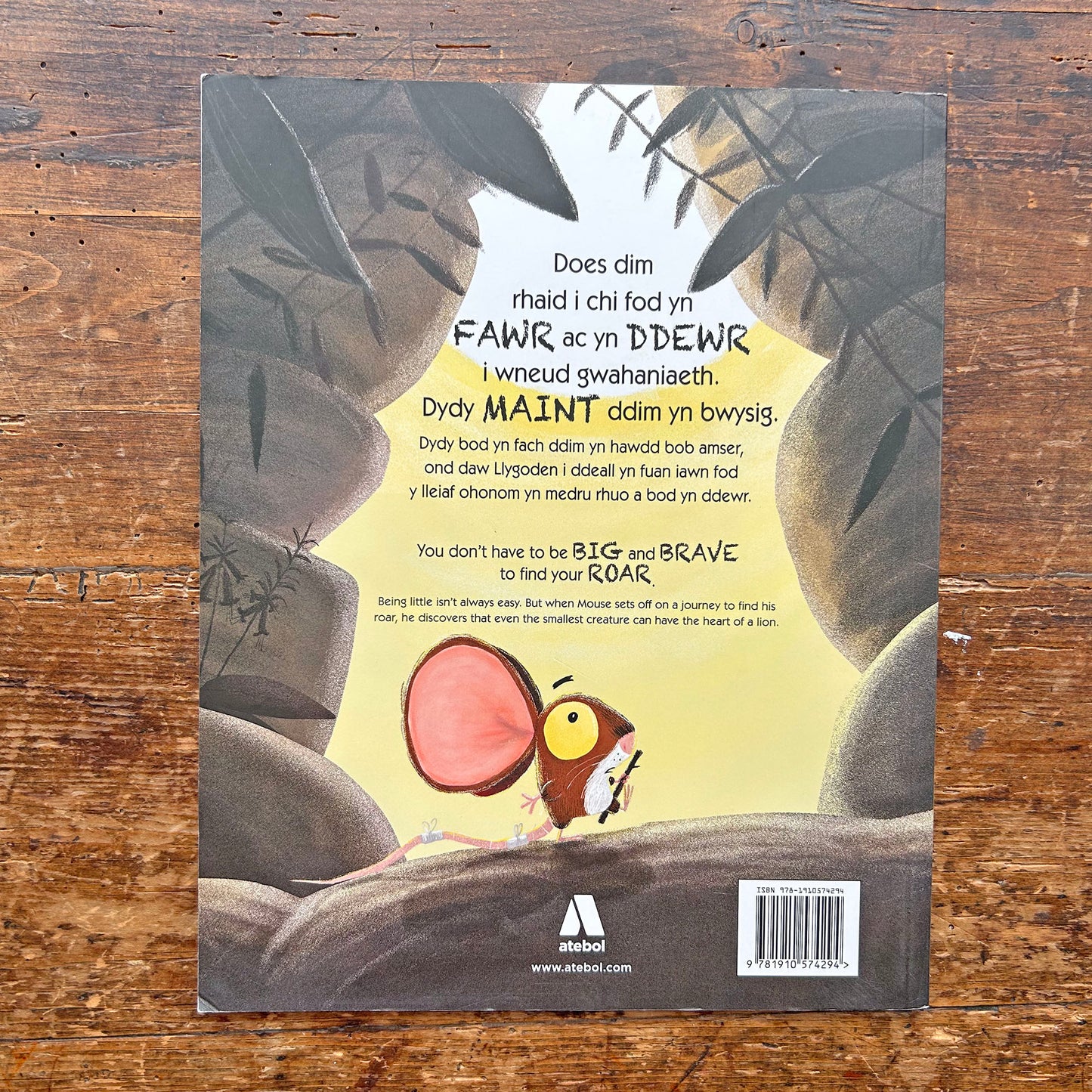 Y Llew Tu Mewn / The Lion Inside (Preloved)