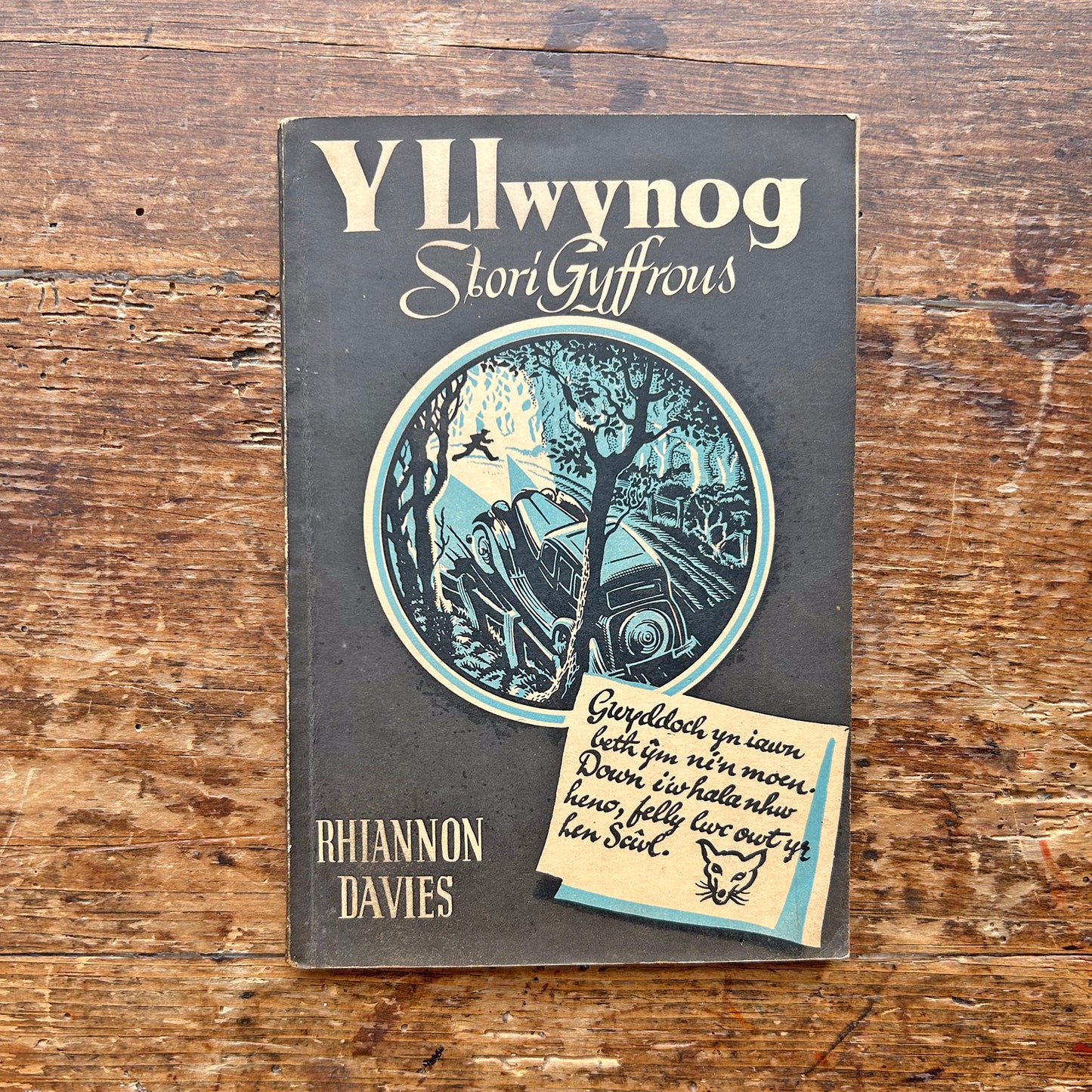 Y Llwynog - Stori Gyffrous - Rhiannon Davies (Preloved)
