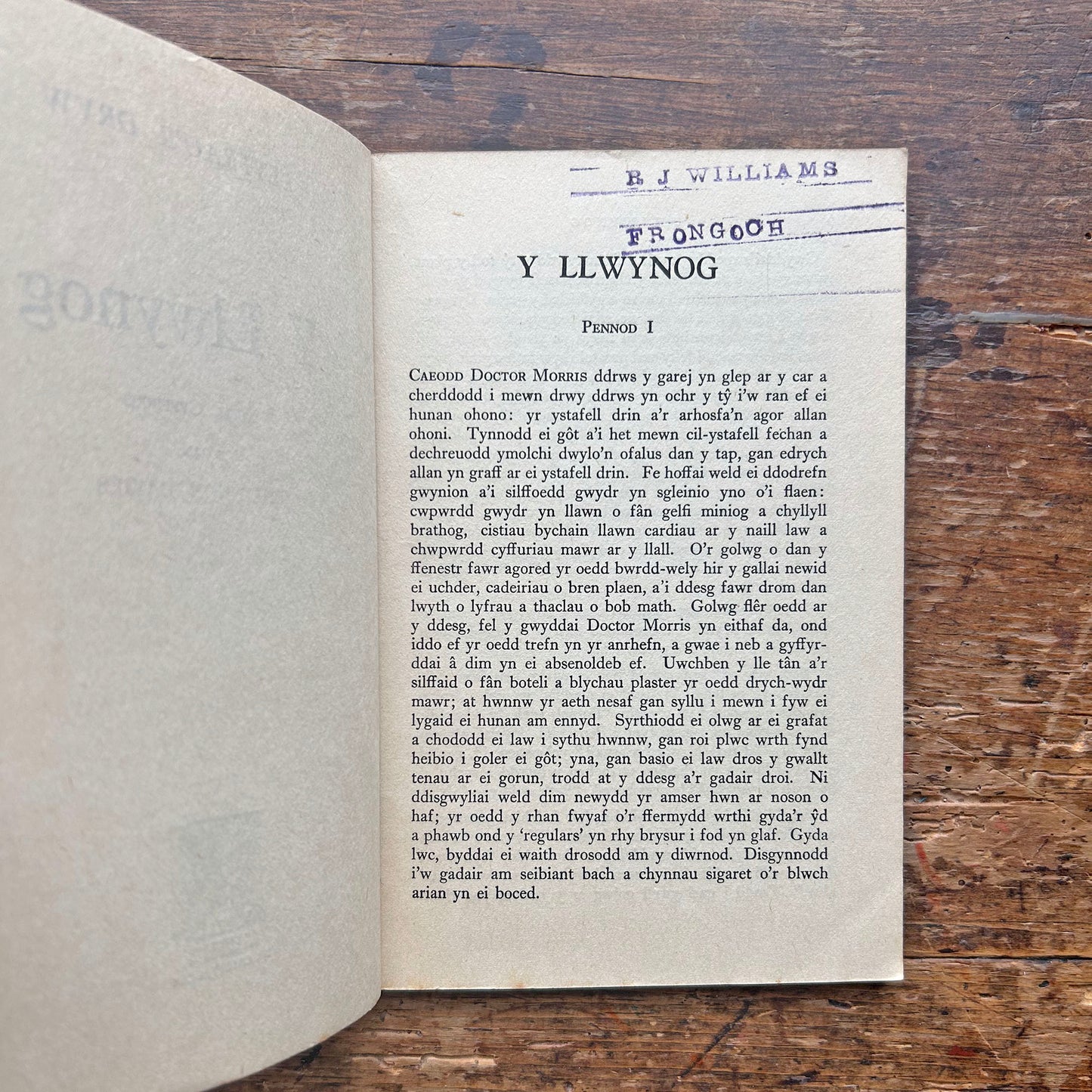 Y Llwynog - Stori Gyffrous - Rhiannon Davies (Preloved)