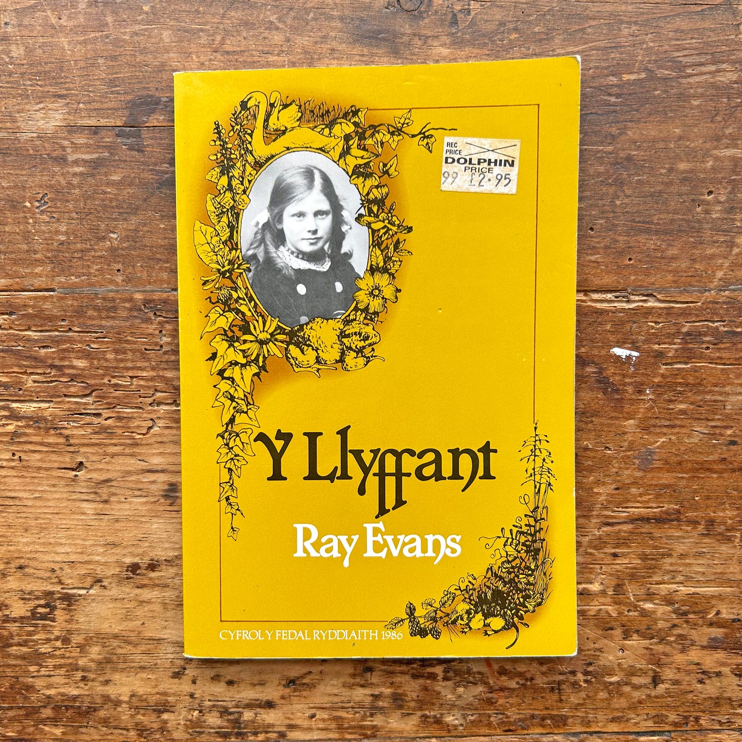Y Llyffant - Ray Evans 1989(Preloved)