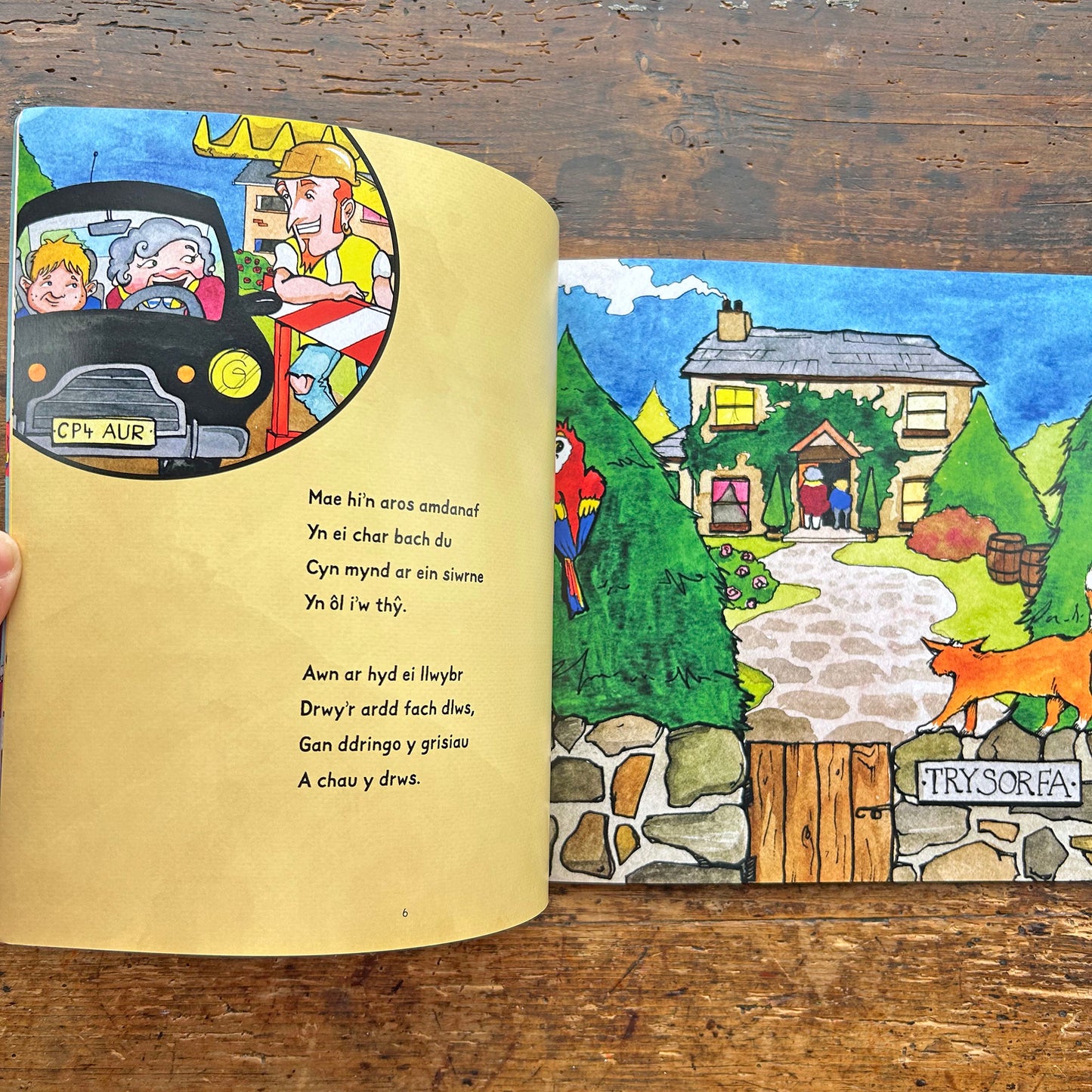 Y Môr-Leidr a Fi / The Pirate and Me (Preloved)