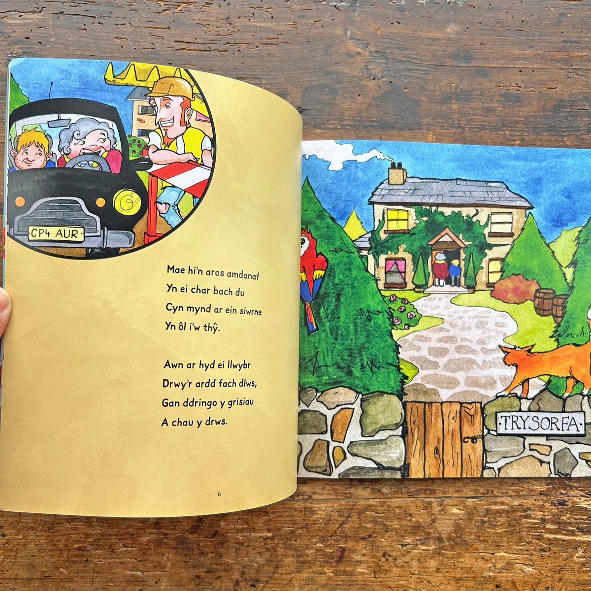 Y Môr-Leidr a Fi / The Pirate and Me (Preloved)