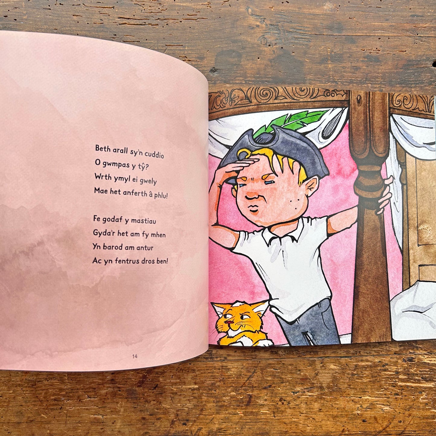 Y Môr-Leidr a Fi / The Pirate and Me (Preloved)