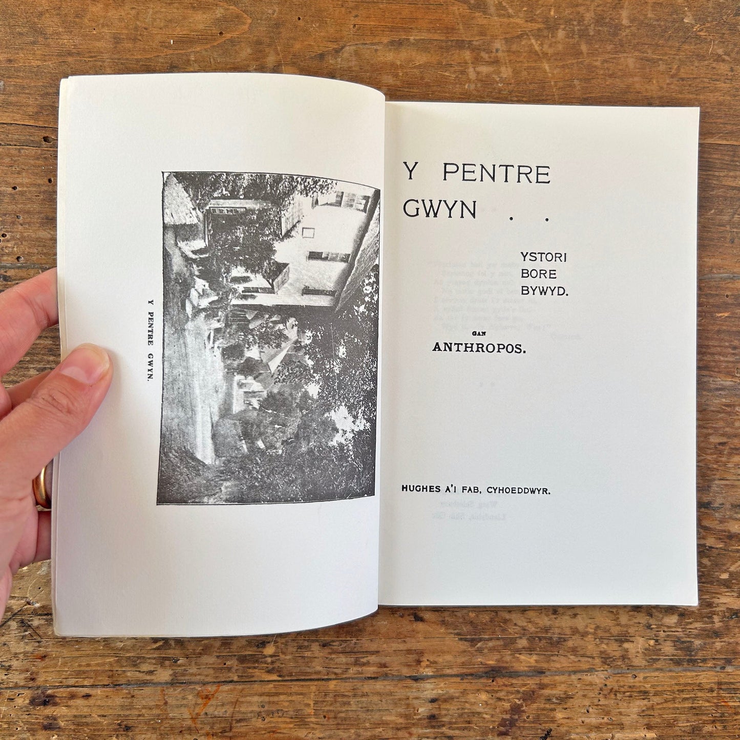 Y Pentre Gwyn - Anthropos (Preloved)