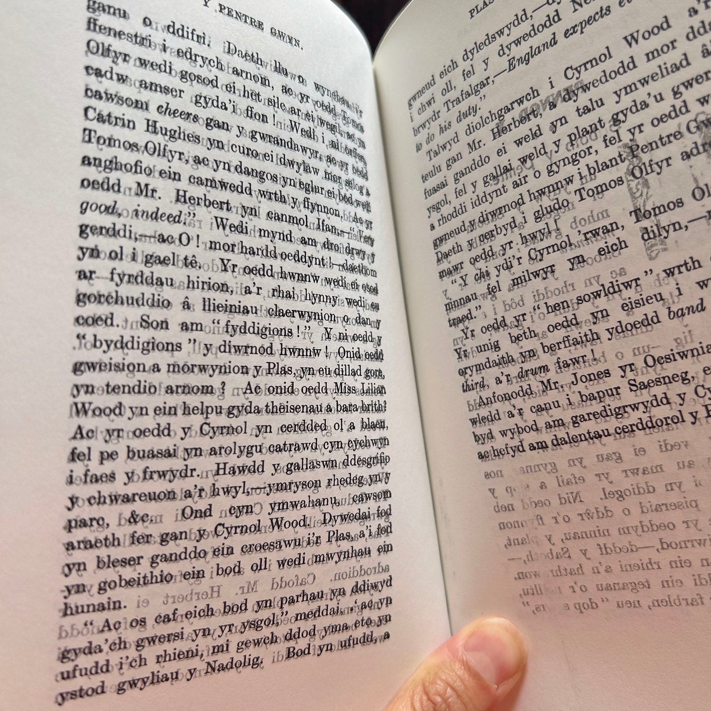 Y Pentre Gwyn - Anthropos (Preloved)