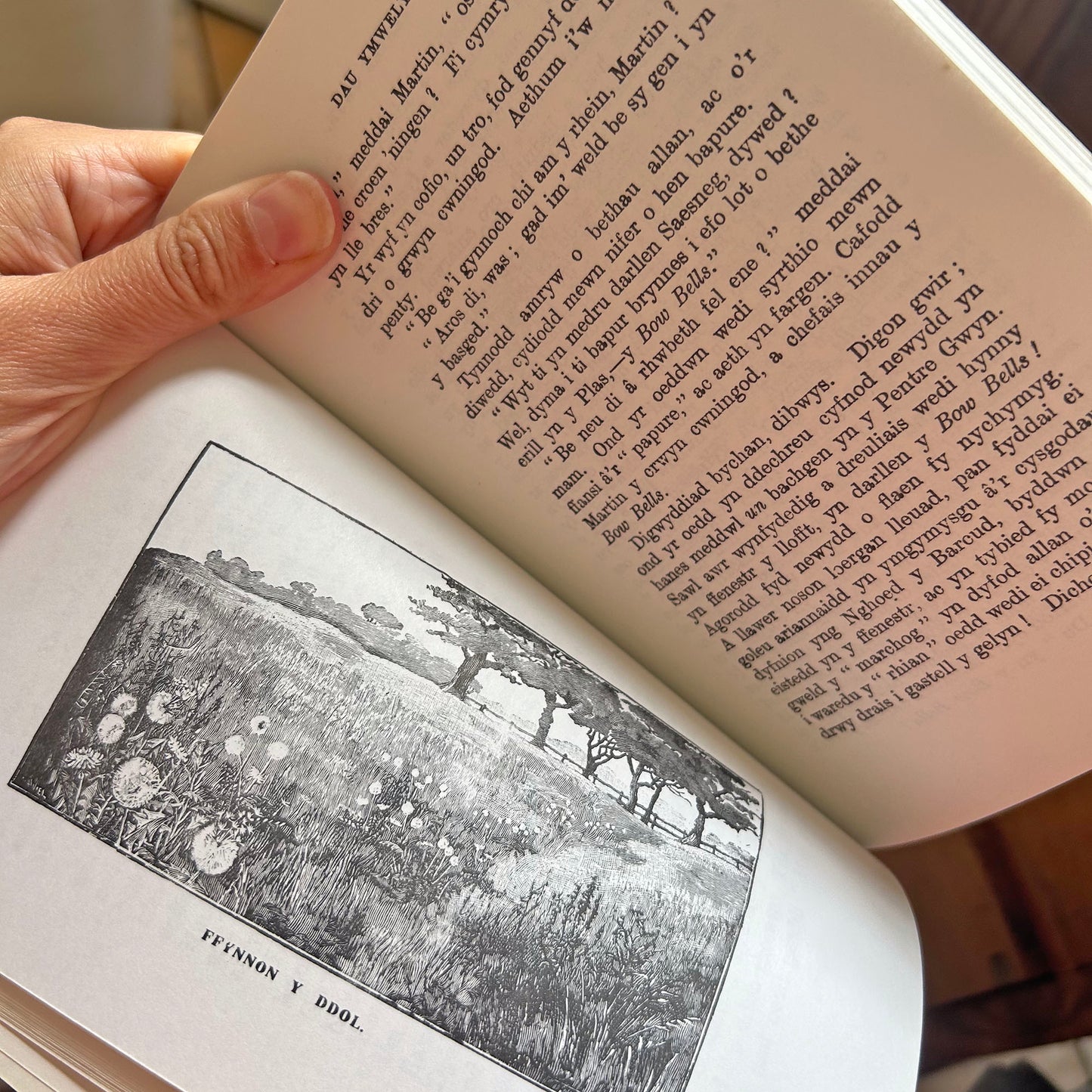Y Pentre Gwyn - Anthropos (Preloved)